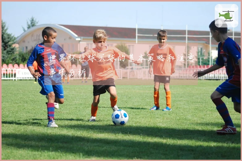 世界杯让球买球的基本策略和注意事项分析