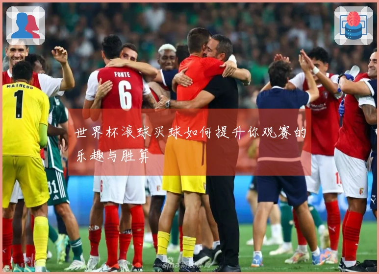 世界杯滚球买球如何提升你观赛的乐趣与胜算