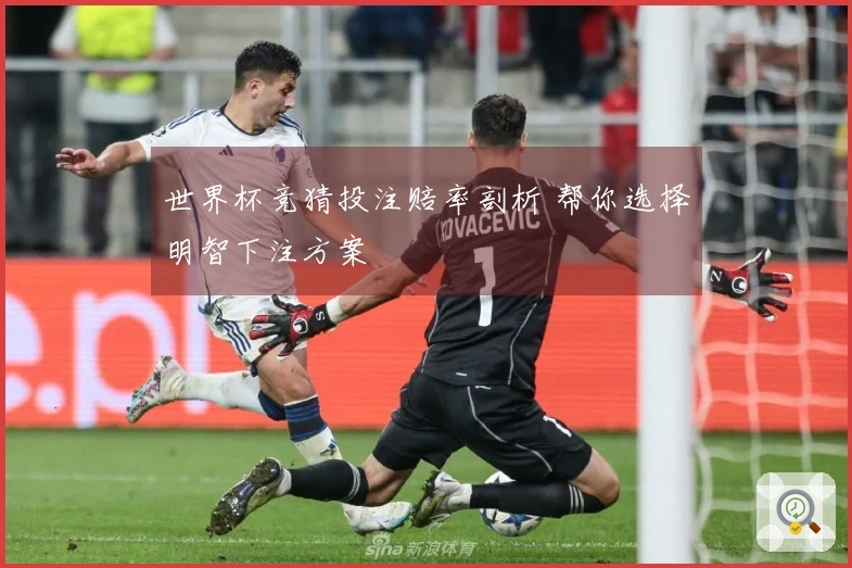 世界杯竞猜投注赔率剖析 帮你选择明智下注方案