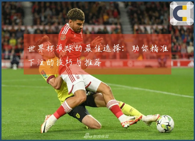 世界杯滚球的最佳选择：助你精准下注的技巧与推荐