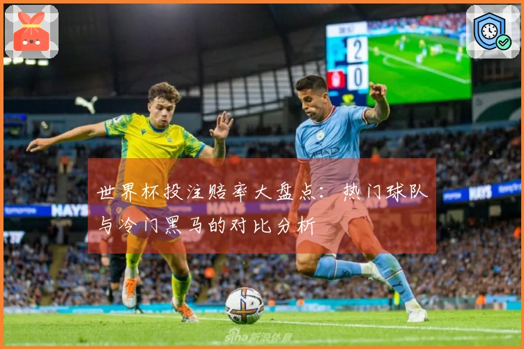 世界杯投注赔率大盘点：热门球队与冷门黑马的对比分析